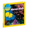 National Geographic Kids Dünyamızı Keşfedin Mercan Keşifi