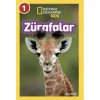 National Geographic Kids Zürafalar