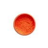 Rich Neon Powder Toz Pigment 60 cc. 11016 TURUNCU