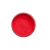 Rich Neon Powder Toz Pigment 60 cc. 11019 KIRMIZI