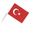 Sopalı Bayrak 20x30 cm