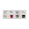 St. Petersburg White Nights Shimmering Collection Tablet Sulu Boya Seti 8 Renk Winter