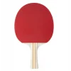 Stiga Bat Evolve-1 Star Masa Tenis Raketi 1211-8318-01