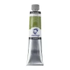 Talens Van Gogh Yağlı Boya 200 ml. 623 Sap Green