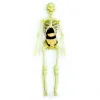 The Human Body İnsan Vücudu 3D Eğitim Seti 3302