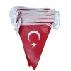 Türk Bayrağı- Üçgen Flama 23x28 cm