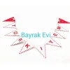 Üçgen türkiye flama 8x12 cm