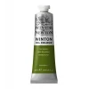 Winsor & Newton Winton Yağlı Boya 37 ml. 37 Sap Green
