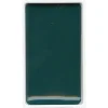 Zig Kuretake Gansai Tambi Tablet Sulu Boya 55 GREEN