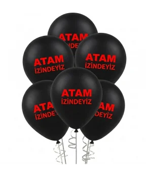Atatürk Baskılı Pastel Balon 12