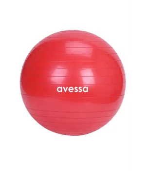 Avessa 55 Cm Pilates Topu Poşet Ambalaj BPT-55 Kırmızı