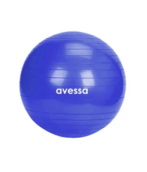 Avessa 55 Cm Pilates Topu Poşet Ambalaj BPT-55 Mavi