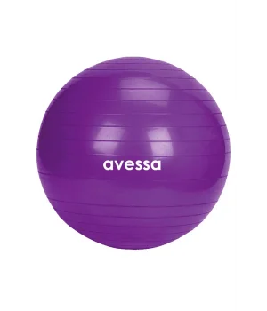 Avessa 55 Cm Pilates Topu Poşet Ambalaj BPT-55 Mor