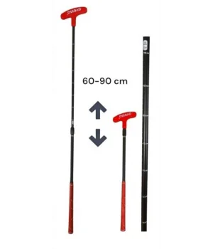 Avessa Gb-170 Ayarlanabilir Golf Sopası Turuncu