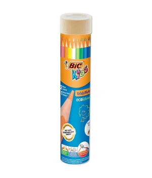 Bic Evolution Kuru Boya 12+1 Renk Metal Tüp (958191)