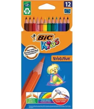 Bic Evolution Kuru Boya 12 Renk Karton Kutu (82902914)
