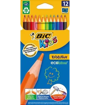 Bic Kids Evolution Kuru Boya Kalemi 12 Renk