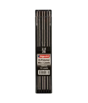 Bigpoint 2.0 mm Portmin Ucu 12li Kutu 2B