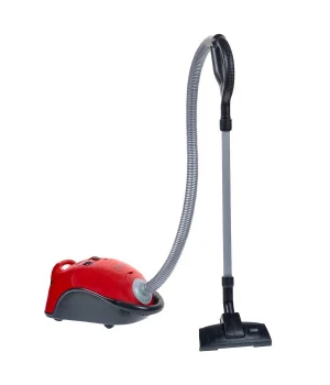 Bosch Sesli Oyuncak Elektrik Süpürgesi