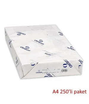 Canson 1557 Dessin Resim Çizim Kağıdı 200 gr. A4 250li Paket