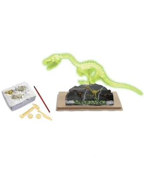 Dinozor Kazma Kiti Velociraptor İskeleti