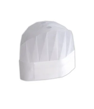 Dolphin Aşçı Kepi 10 Adet