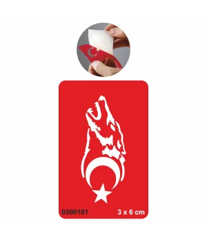 Gökbörü Dövme Şablonu Kına Deseni