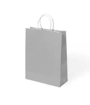 Gümüş Büküm Saplı Kraft Çanta 25x31cm