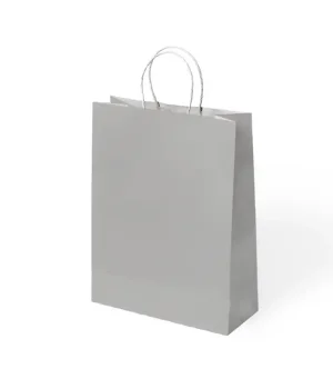 Gümüş Büküm Saplı Kraft Çanta 31x41cm