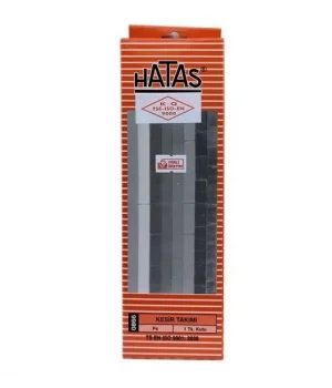 Hatas Kesir Takımı