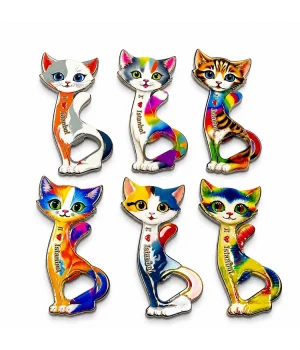 Kedi Tasarımı İstanbul Temalı Buzdolapı Süsü Magnet Alk5409