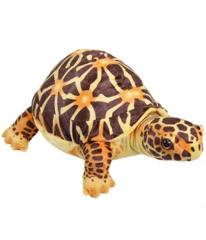 Peluş Desenli Kaplumbağa 60 cm.