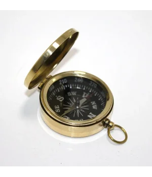 Pirinç Pusula 2198