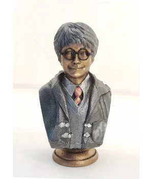 Polyester Harry Potter Büst Küçük 235