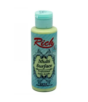 Rich Multi Surface Her Yüzey İçin Akrilik Boya 120 cc. 2210 SARDUNYA