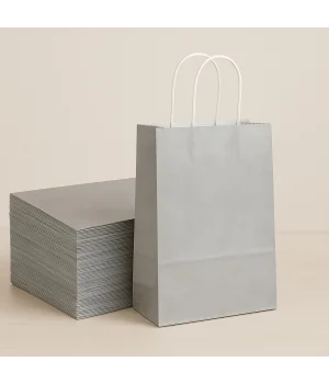 Roll-Up Kraft Çanta Gümüş Küçük Boy 18 * 24 cm 25 Adet