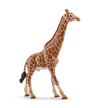 Schleich Dişi Zürafa