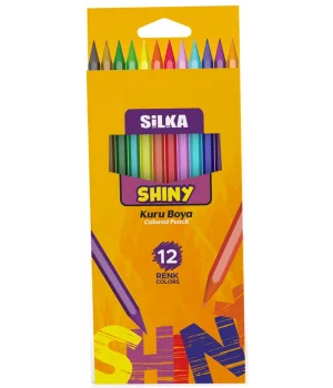 Silka Shiny Kuru Boya 12 Renk