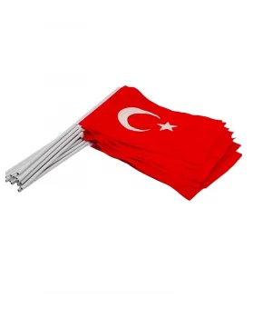 Sopalı Bayrak 20x30 cm
