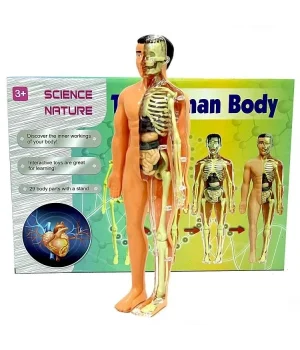 The Human Body İnsan Vücudu 3D Eğitim Seti 3302