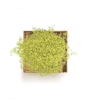 Zigzag Kırpık Kağıt 250gr -Sarı-