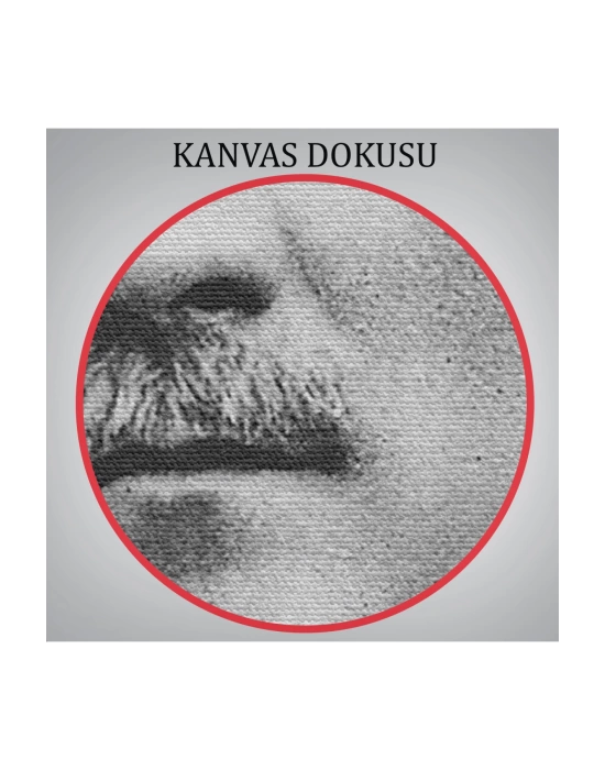 Atatürk Portre Tablosu Mustafa Kemal Atatürk Dikdörtgen Dekoratif Kanvas Tablo-CJ-60