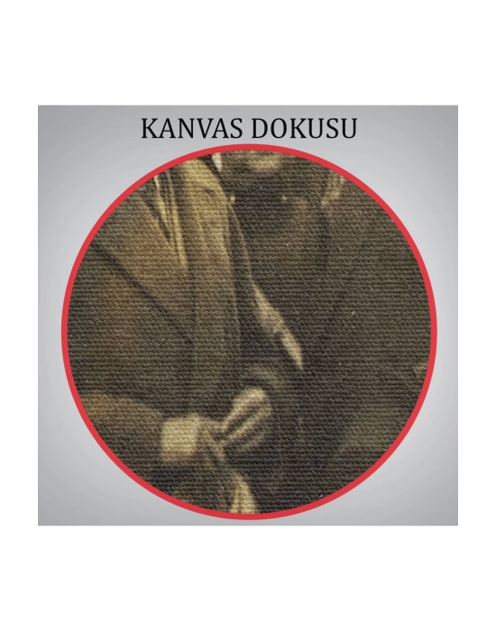 Atatürkün Anadoluyu Ziyareti Mustafa Kemal Atatürk Dikdörtgen Dekoratif Kanvas Tablo-CÜ-74