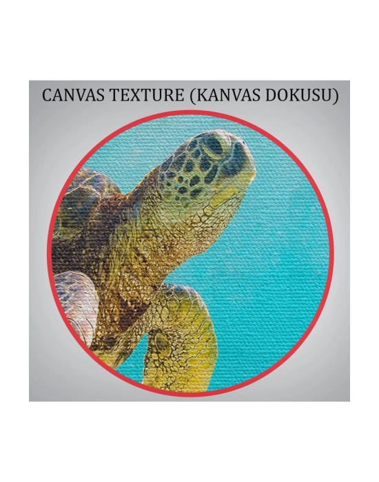 Caretta Caretta Dekoratif Kanvas Tablo 1174