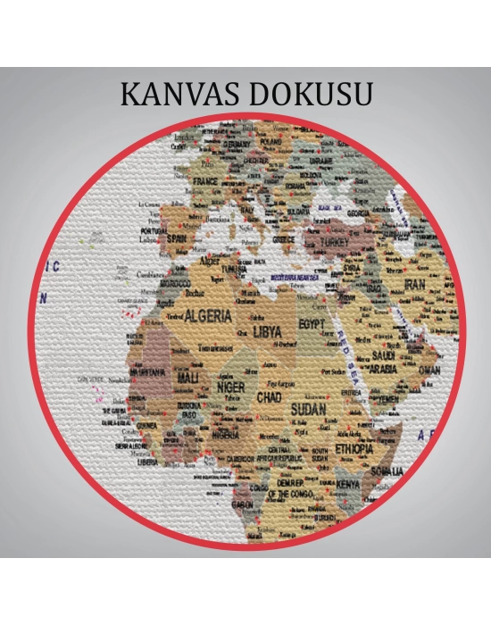 Detaylı Dünya Haritası Dekoratif Renkli Zeminli Kanvas Tablo 1702