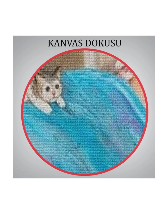 Dianne Dengein Kedi Sever Yaşlı Kadın Mutluluğun Resmi Tablosu-6383