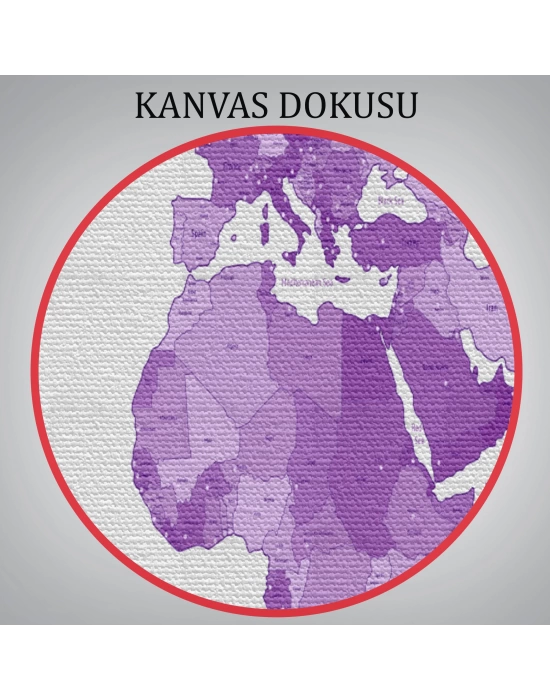 Dünya Haritası Mor Renkli Dekoratif Kanvas Tablo 1044