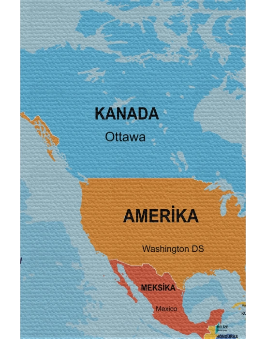 Duvar Örtüsü / Halısı Detaylı Güncel Türkçe Dünya Haritası  Kaliteli Kanvas Kumaş-3974