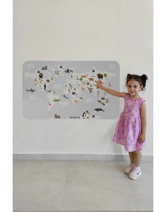 Eğitici Dünya Haritası Dünya Atlası Çocuk ve Bebek Odası Duvar Sticker-60x105-3790