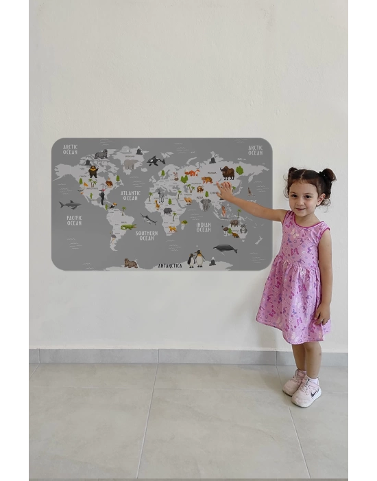 Eğitici Dünya Haritası Dünya Atlası Çocuk ve Bebek Odası Duvar Sticker-60x105-3794